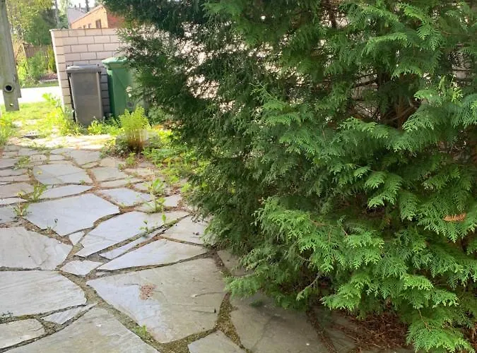 Koivu 100m2 3mh, Rauhallinen Ja Tyylikaes Kaupunkikoti Seinäjoki